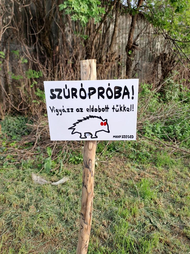 Szúrópróba